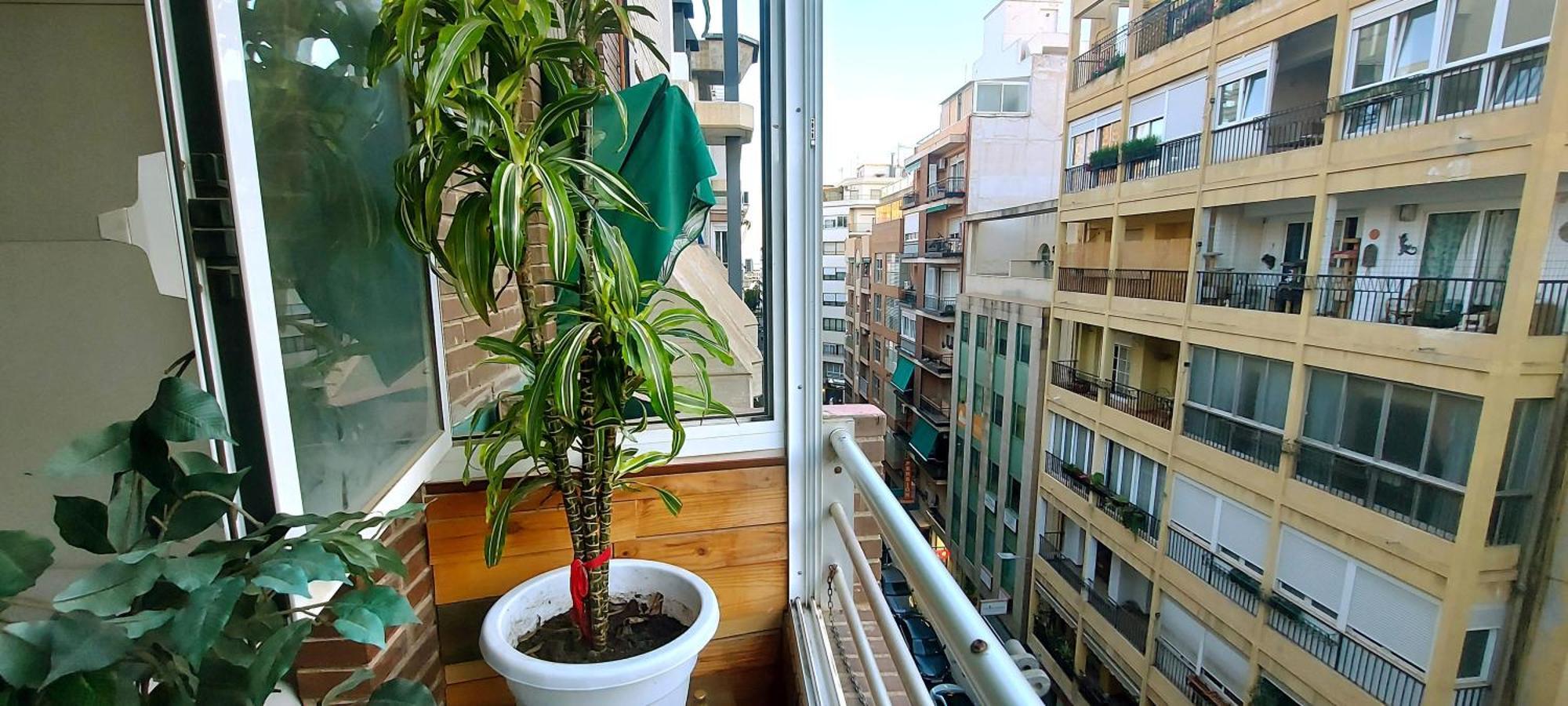 Modern Apartment In Alacant 60M² Wheelchair Accessible Αλικάντε Εξωτερικό φωτογραφία